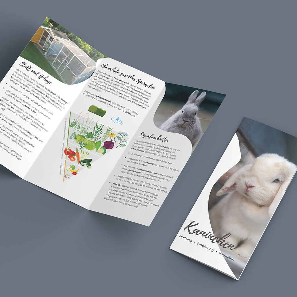 Flyer, Glückspfötchen-mesum, Tiere, Webdesign für Tiere