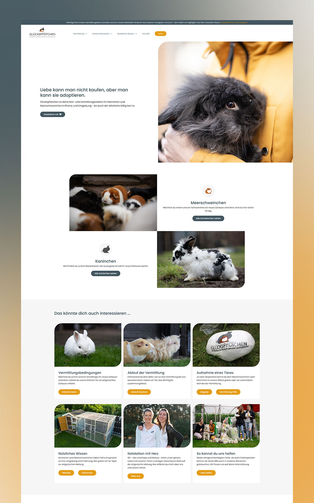 Webseite von glueckspfoetchen-mesum.de