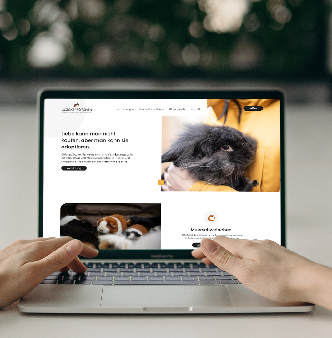 nt-ware online portfolio website